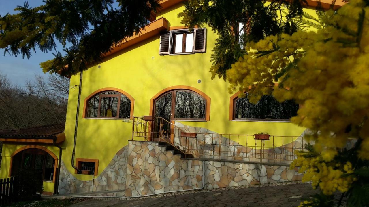 Capena B&B Villa Selva Grande المظهر الخارجي الصورة